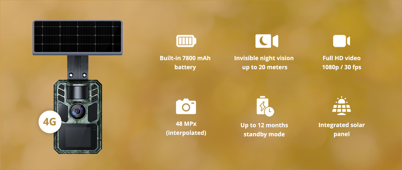 Wachman Alfa Live4G