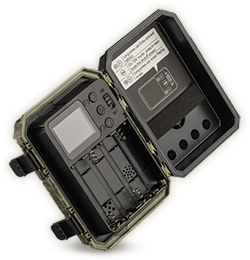 Zadní pohled na Wachman Mini Trail Camera ukazující displej a ovládání
