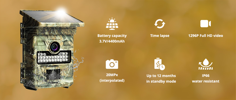Wachman Solar Lite Solární stopařská kamera